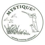 mystique-dummy-it